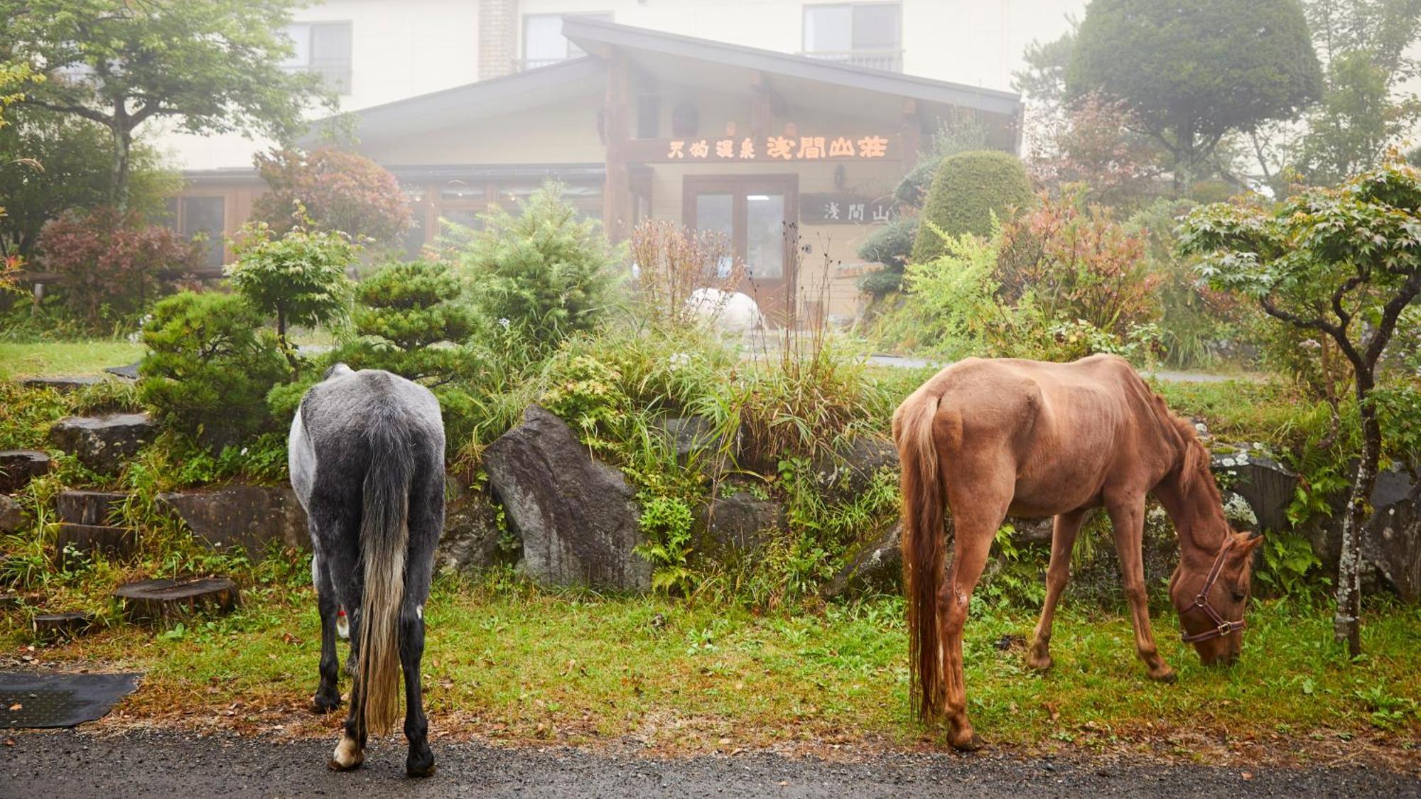 Tengu Onsen Asama Sanso Komoro Esterno foto
