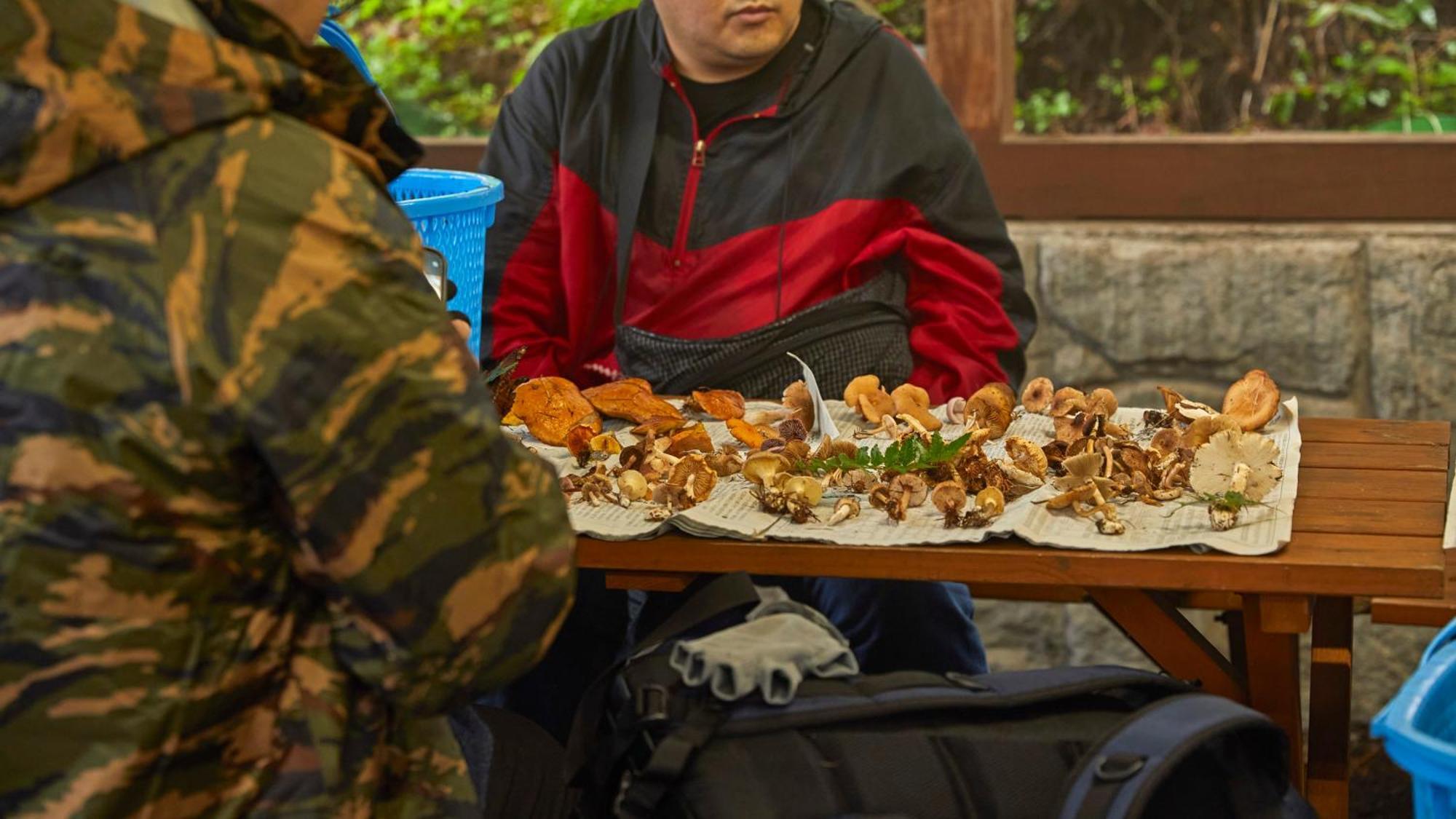 Tengu Onsen Asama Sanso Komoro Esterno foto